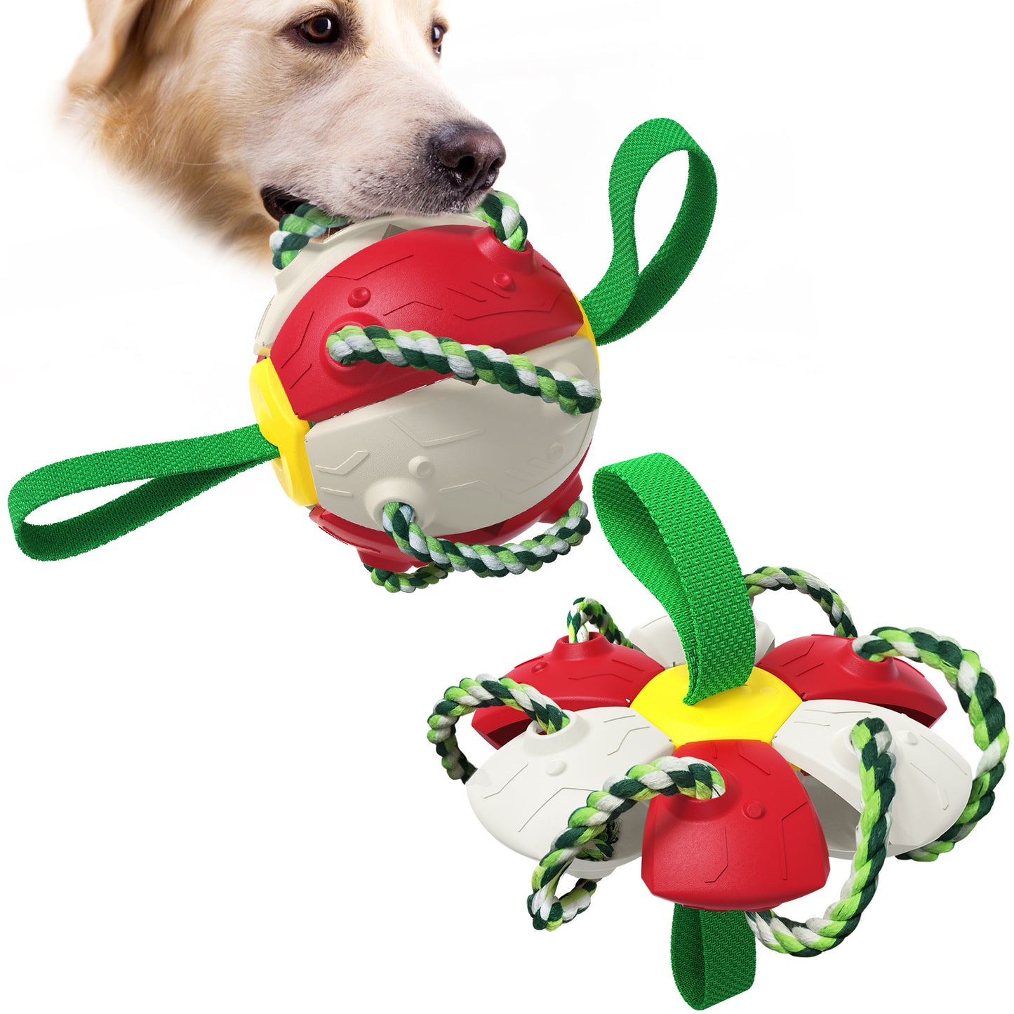 Interactive Dog Toy